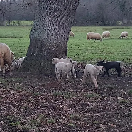 Sous Le Chene 別荘 *