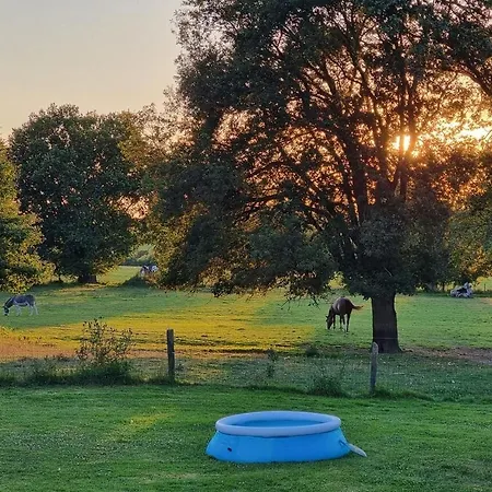 بيت للعطل Sous Le Chene Denée