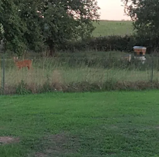 Sous Le Chene Semesterbostad Denée